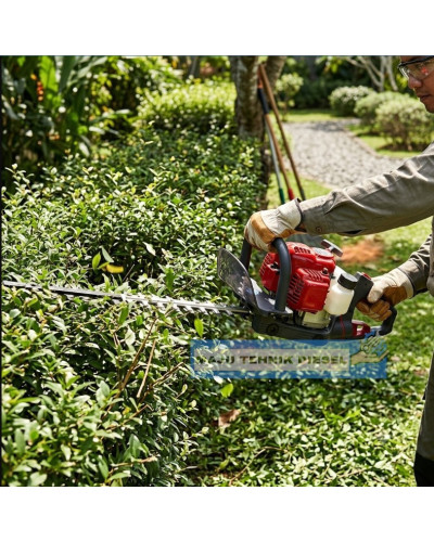 Mesin Pangkas Daun MATSUMOTO MHT 6010 Hedge Trimmer