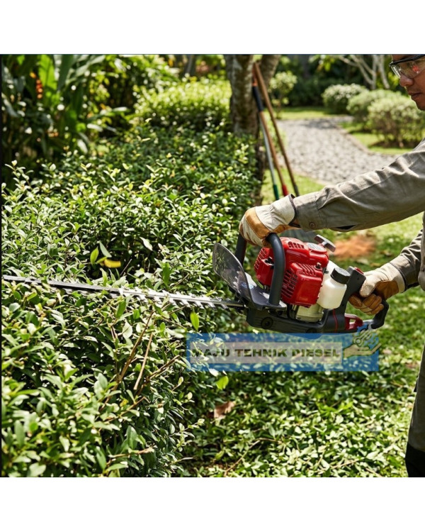 Mesin Pangkas Daun MATSUMOTO MHT 6010 Hedge Trimmer
